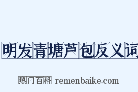 明发青塘芦包反义词是什么意思的图片